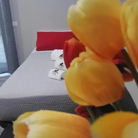 Nocleg ze śniadaniem Da Lillo 3*