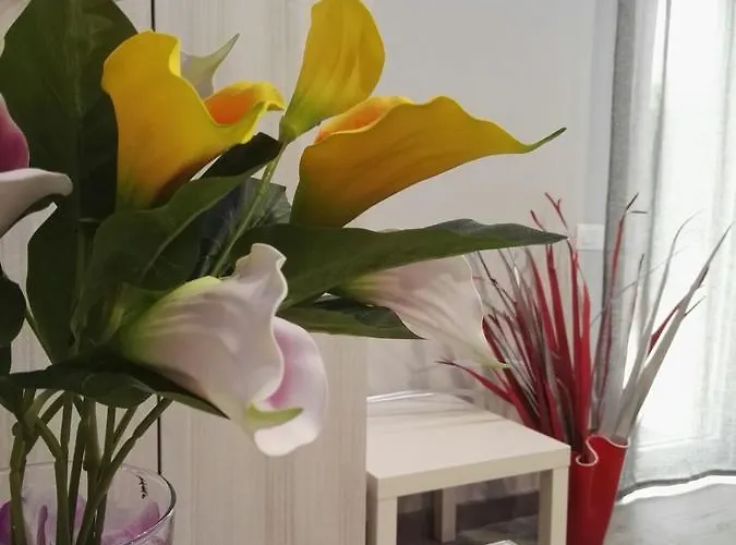 Da Lillo Bed and breakfast 3*