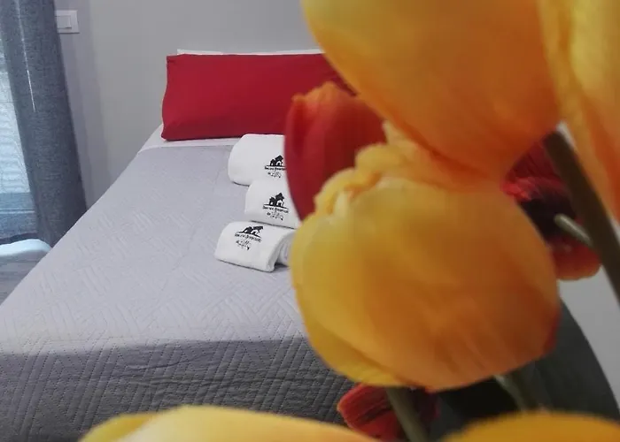 Bed & Breakfast Da Lillo 3*